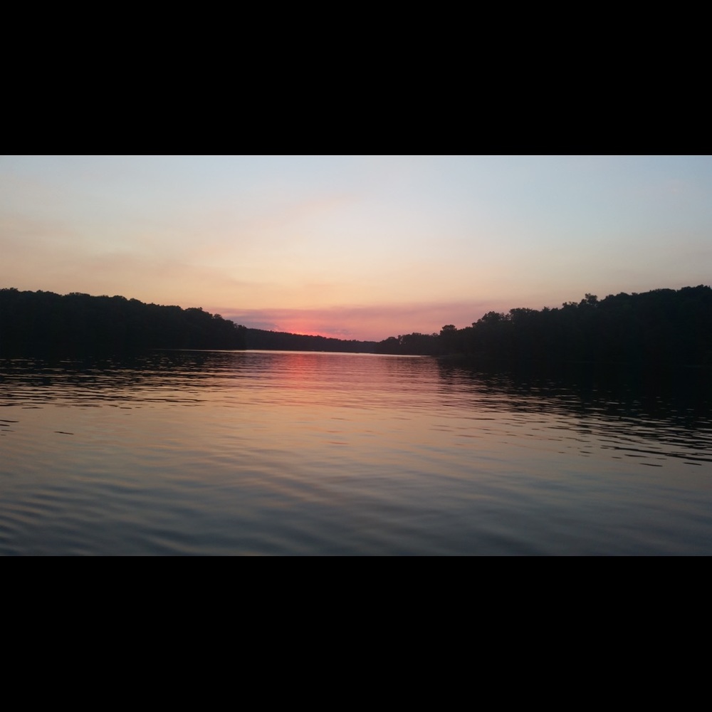 Meet your Posher, Jane